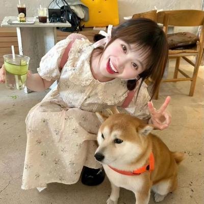 红墙盗影